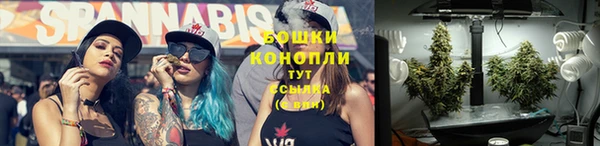 крисы Богданович