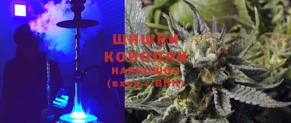 spice Бородино