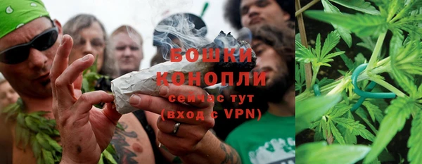 spice Бородино